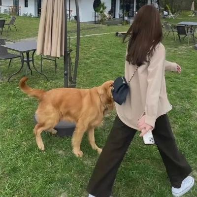 最后一封情书